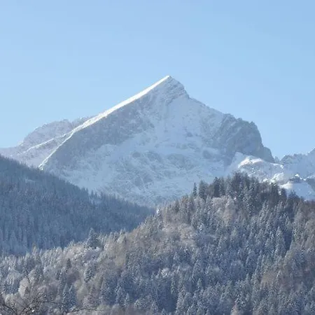公寓 On The Loisachuferweg 加爾米施-帕滕基興